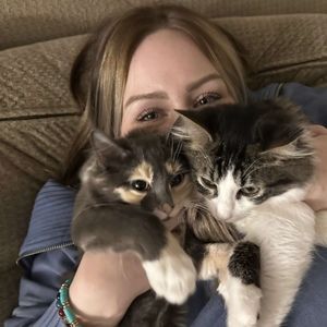 Meet your Posher, Bailey